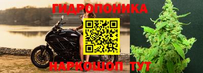 прущие грибы Железноводск