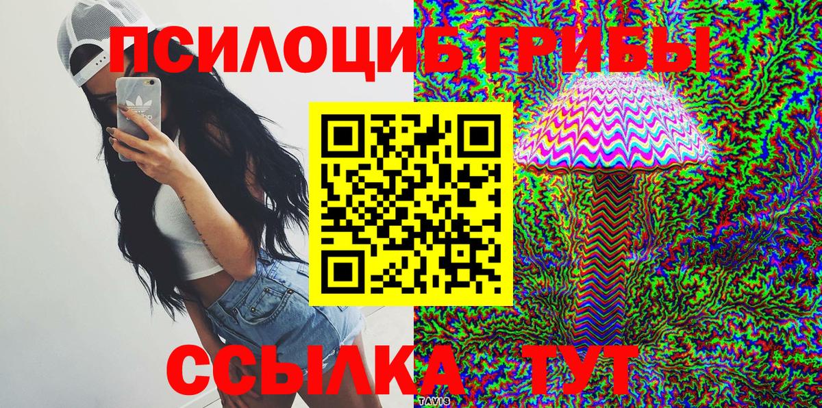 Галлюциногенные грибы Psilocybine cubensis  Вход с VPN  Галлюциногенные грибы ЛСД  Великий Новгород 